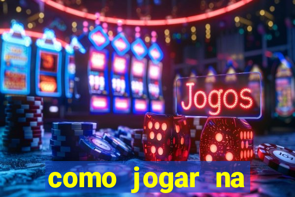 como jogar na lotinha do jogo do bicho